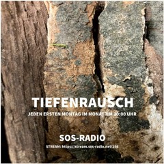 Tiefenrausch - Sendung - 02 (21.02.2021)