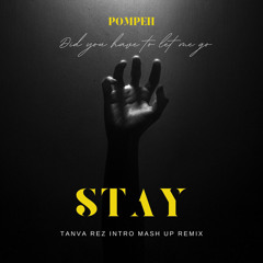 Stay, DID YOU HAVE TO LET ME GO , Pompeii - TANVA Rez (Tribal Intro Mash up Remix)