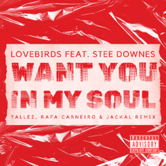 Want You In My Soul (Original By Loverbirds) - Tallez, Rafa Carneiro & Jackal