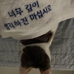 난 진심만을 담아
