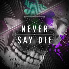 RIDDIM DUBSTEP 0.2