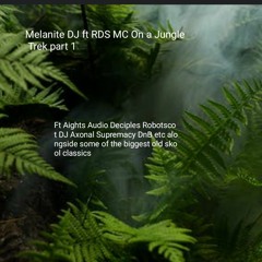 Melanite DJ ft RDS MC Junglist trek part 1
