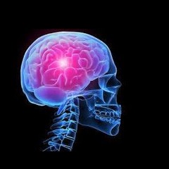 Feel for Epilepsy Awareness