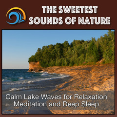 Lakeshore Waves - Peaceful Lapping