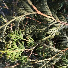 SANGA RTU MIX OPC JUNE 2022