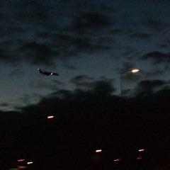 Electric Birds (Extended Mix)