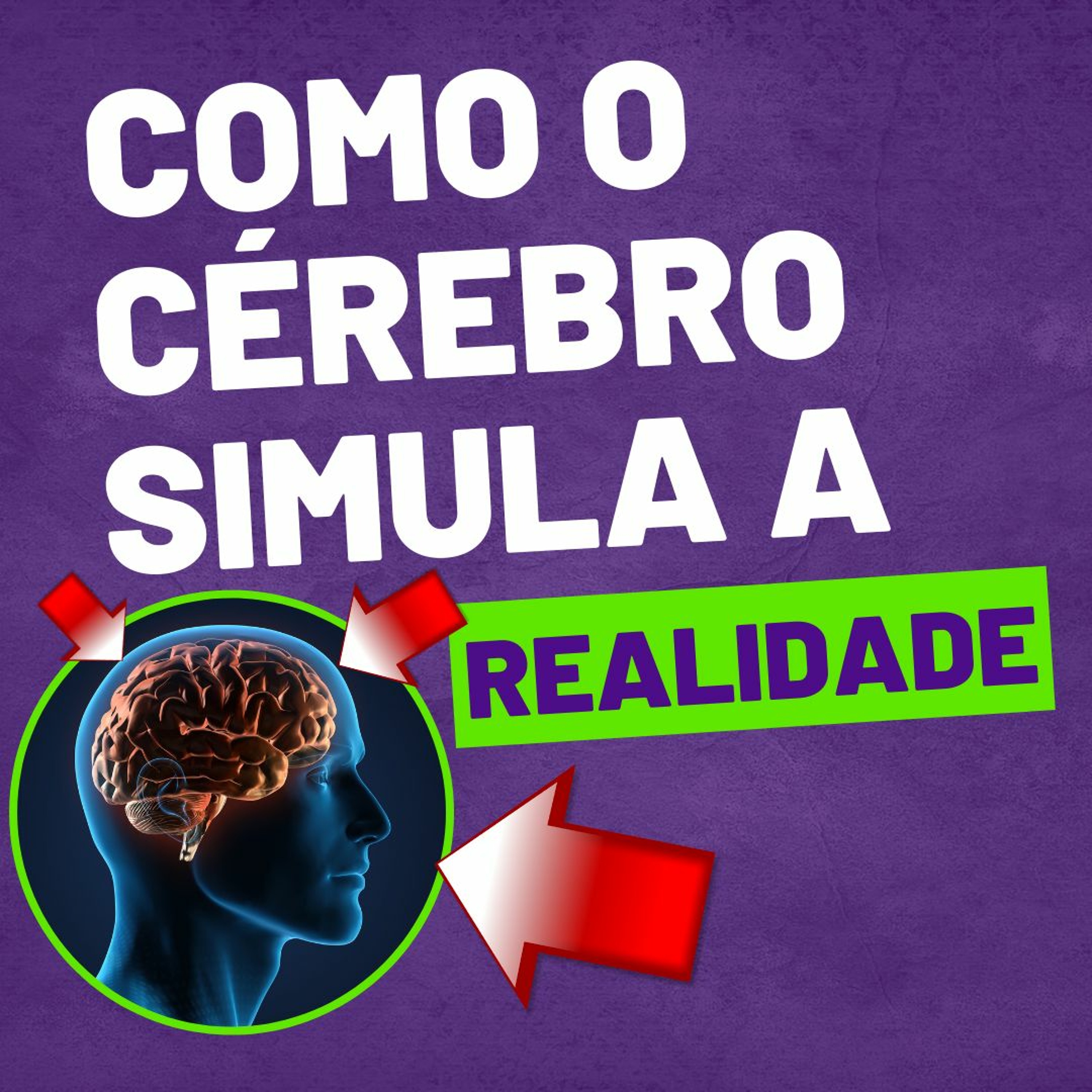 Yoga e Neurociências