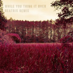 Clo Sur - While You Think It Over - Reatrix Remix