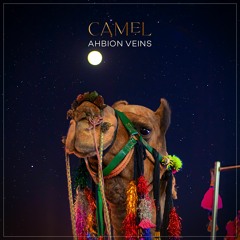 Ahbion Veins - Camel