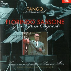 Tangoclassichorses