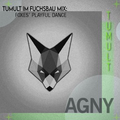 AGNY @Tumult im Fuchsbau Mix 2023