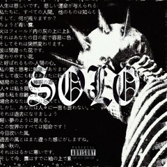solo. (prod. brayyy!)