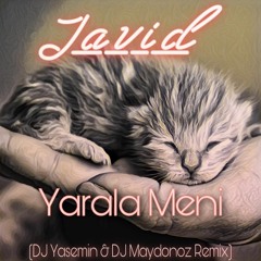 Javid - Yarala meni DJ Yasemin & DJ Maydonoz Remix