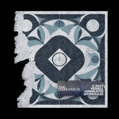 Assimilated - Ikiagi (Original Mix)