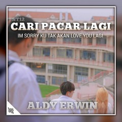 DJ CARI PACAR LAGI - IM SORRY KU TAK AKAN LOVE YOU LAGI