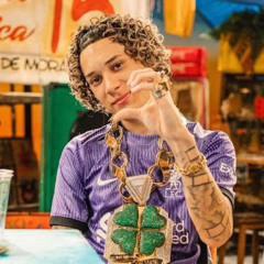 CHEFIN - SE ESSA BUNDA FOR UMA EMPRESA - PIQUEZIN RJ (DJ CREPALDI)