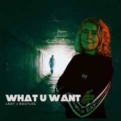 FREE DL WHAT U WANT - LADY J bootleg
