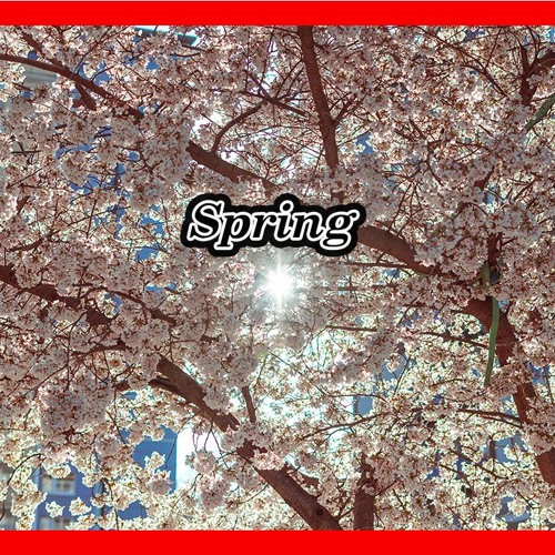 Spring - (Flute) Ambient & Cinematic Music