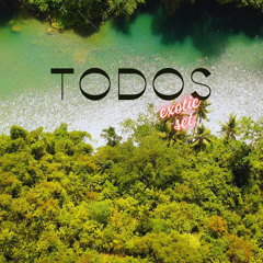 TODOS Exotic Set