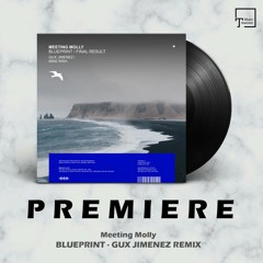 PREMIERE: Meeting Molly - Blueprint (Gux Jimenez Remix) [MANGO ALLEY]