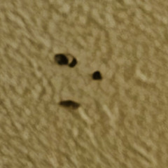 the things that froze.wav