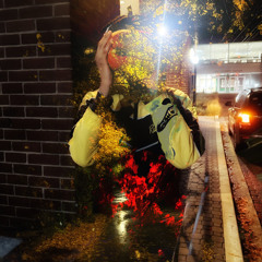 De luna Rose Delux (slowed)