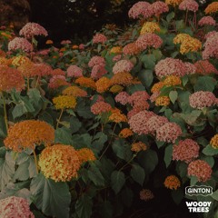 One Millie (Extended Version)