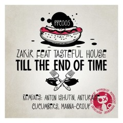 Zakir feat Tasteful House - Till The End Of Time