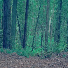 roses are dead(prod. Number48)