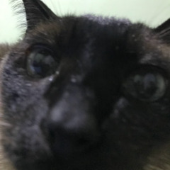 TavinBatidas TECH HOUSE MIX VOL.1