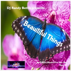 DJ Randy Bettis presents_ Beautiful Things
