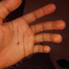 Certain Elevated part 2