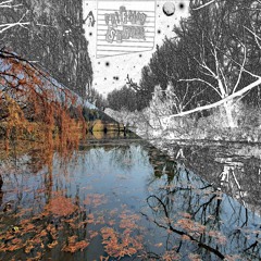 Reflections On A Pond