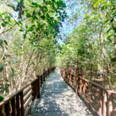 Overture + To God Be The Glory