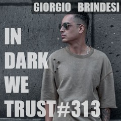 Giorgio Brindesi - IN DARK WE TRUST #313