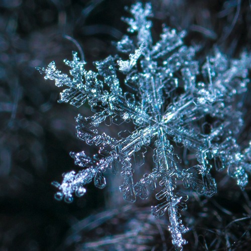 Otherwise - The Ghost of Winter ft. Martin Aslaksen