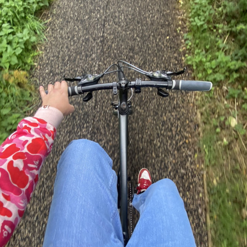 rollers++jungle V1