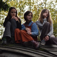 Falling Slowly (Cover)