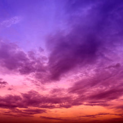 Sea of Haze Dreams