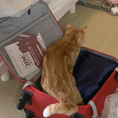 友達と家族、性格