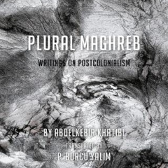 READ EBOOK 📫 Plural Maghreb: Writings on Postcolonialism (Suspensions: Contemporary