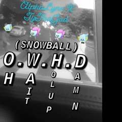 O.W.H.D. ($nowball) (feat.TyThaGod)