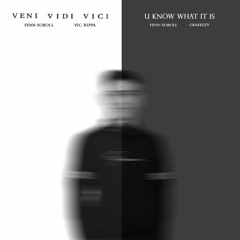Fenn Soroll - Veni Vidi Vici (with Vic Rippa)