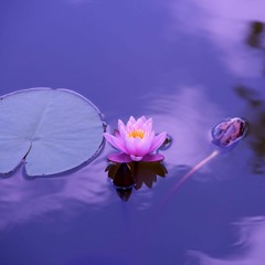 Peace Mantra