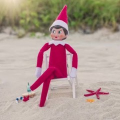 Little Saint Nick The Beach Boys House Remix