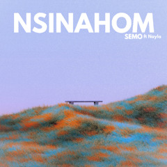 Nsinahom ft. Nayla