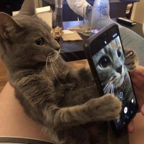 Fallen Down | Meme Song