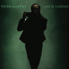 Bela Lugosi's Dead (Live)