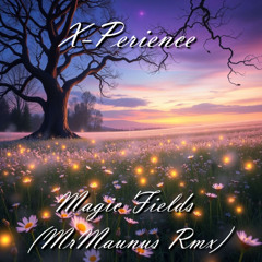 X-Perience - Magic Fields (MrMaunus tribute rmx) [11_6_2025]