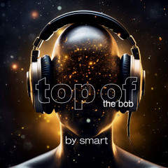Top Of The Bob By Smart 25# 0741